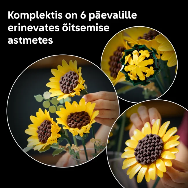 11502 Päevalillekimp