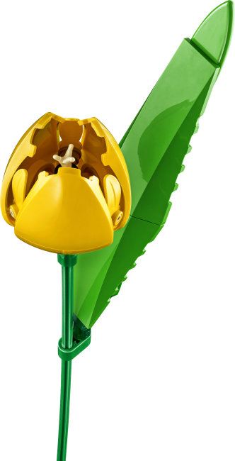 11501 Tulppaanikimppu