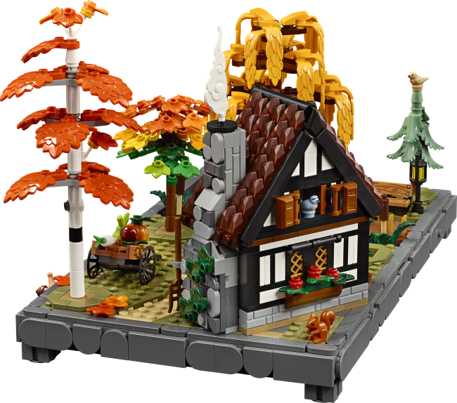 11372 Syksyinen mökkipuutarha