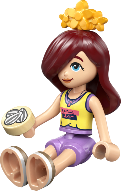 42679 Heartlake Cityn pupuhotelli