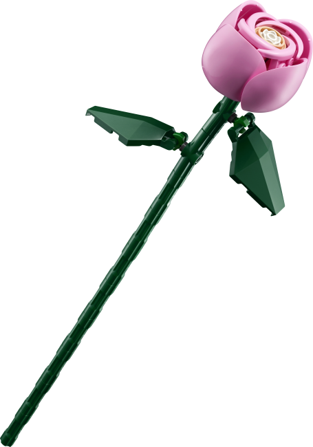 10374 Rozā rožu pušķis