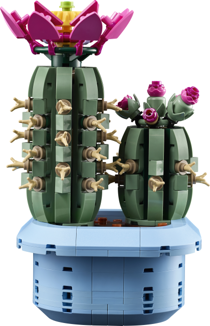 11509 Ziedošs kaktuss