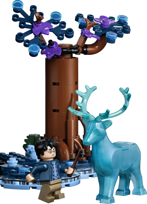 76475 Keelatud mets: Expecto Patronum