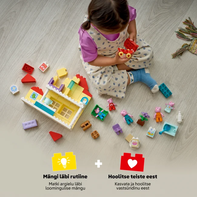 10467 Семейный дом