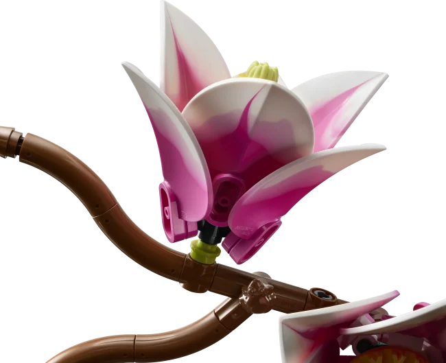 11510 Magnolijas zariņi