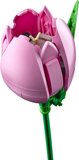 11501 Tulppaanikimppu