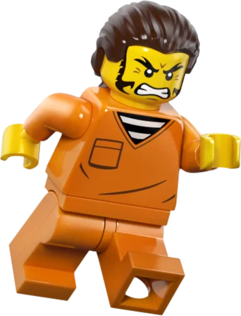 60508 Poliisijunan ryöstö