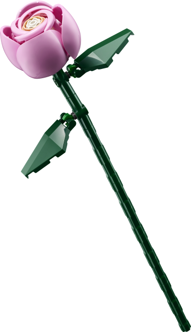 10374 Rozā rožu pušķis