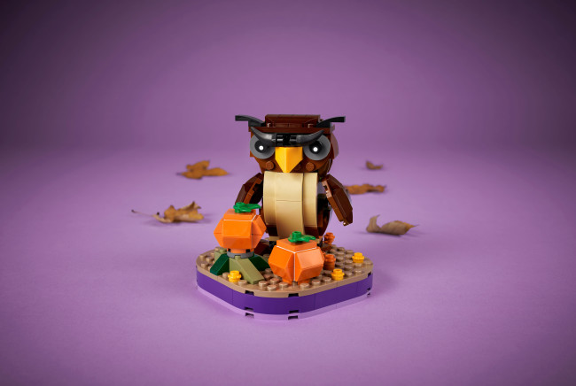 40497 Halloweenpöllö