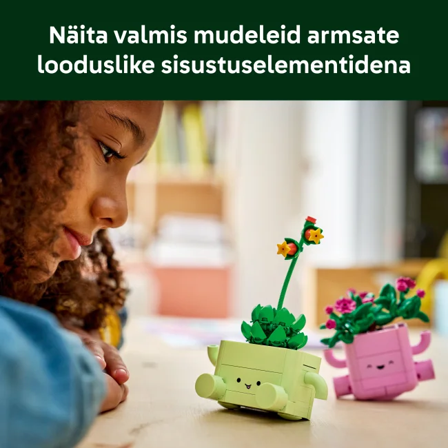 11506 Kiikuvad taimed