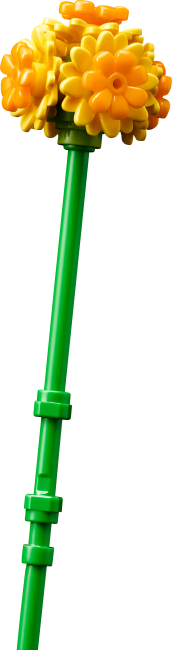 10347 Mazā saulainā buķete