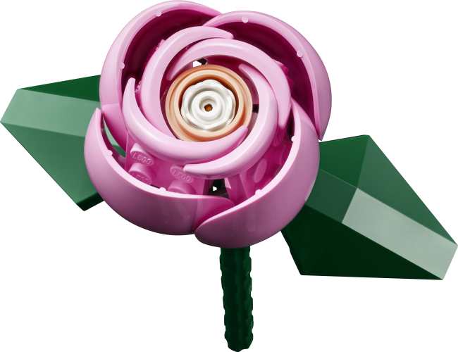 10374 Rozā rožu pušķis