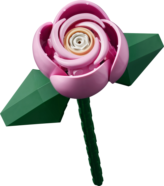 10374 Rozā rožu pušķis