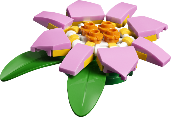 31377 Kilpkonn vesiroosiga