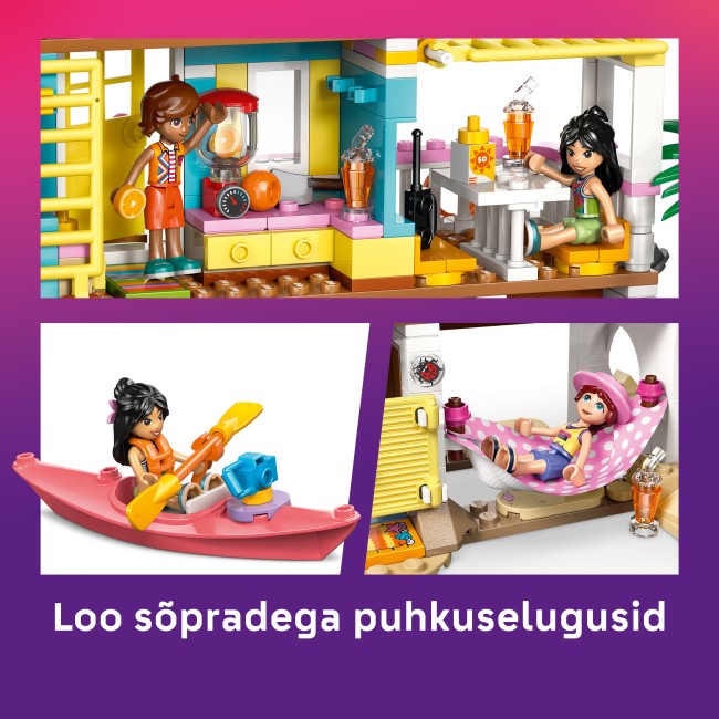 42699 Rantahuvila ja hylkeet