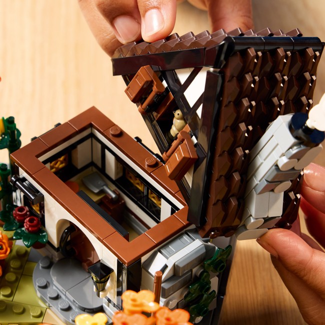 11372 Syksyinen mökkipuutarha