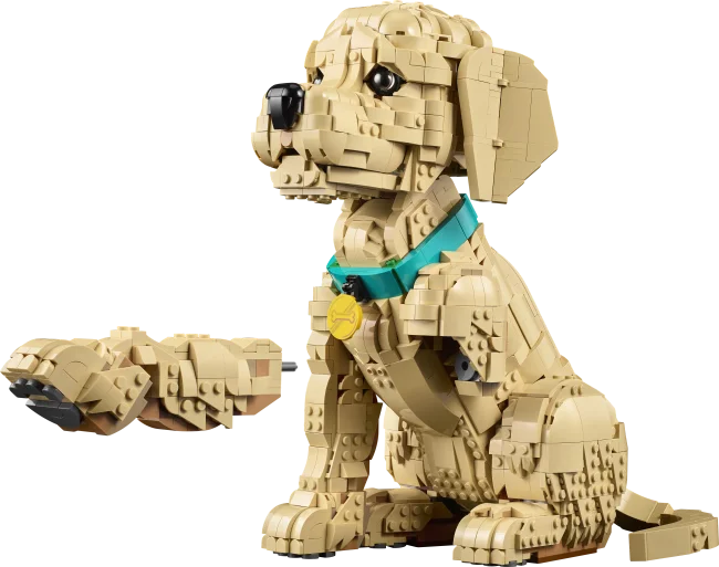 11384 Щенок золотистого ретривера