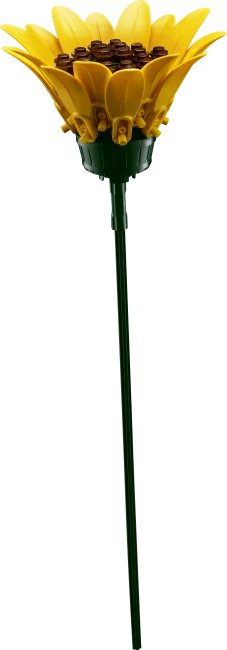 11502 Päevalillekimp