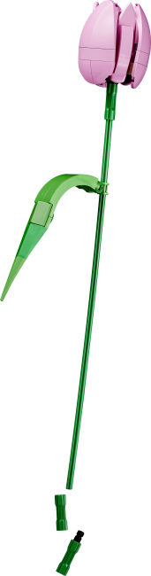 11501 Tulppaanikimppu