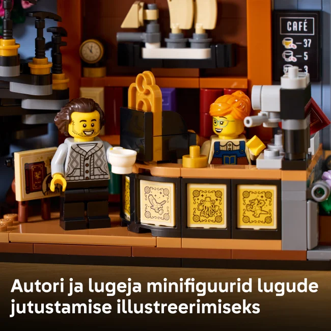 11379 Raamatupood: Raamatutugi