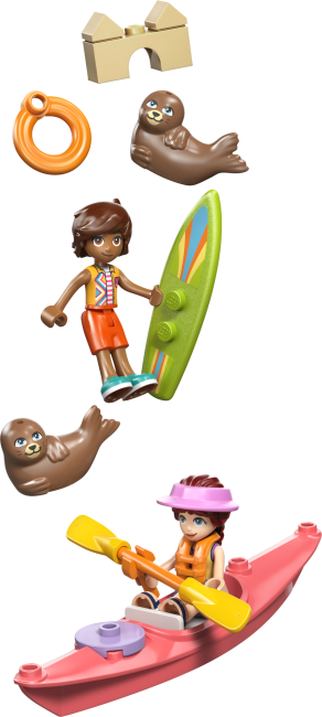 42699 Rantahuvila ja hylkeet