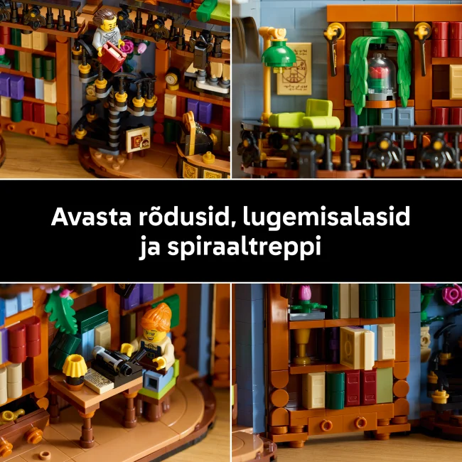 11379 Raamatupood: Raamatutugi
