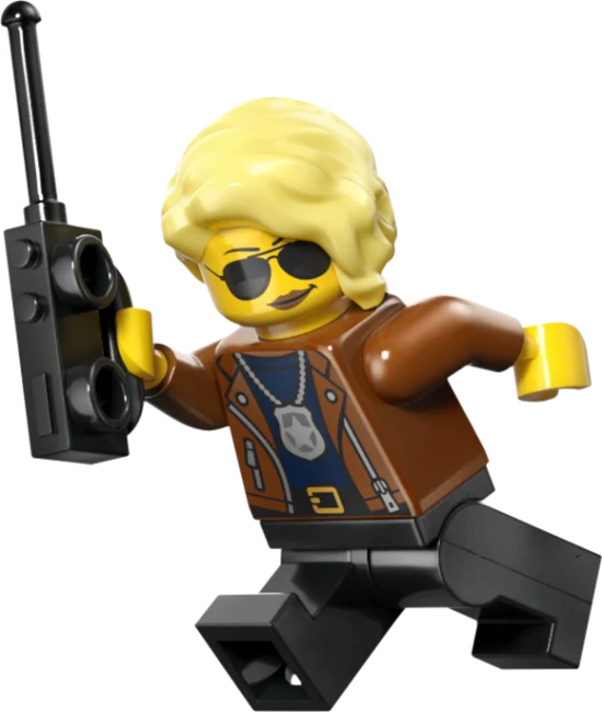 60508 Poliisijunan ryöstö