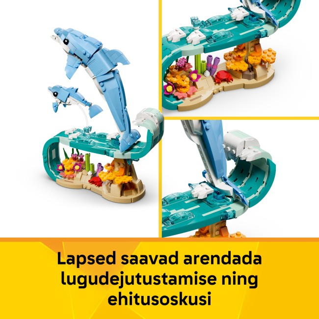 31385 Mereloomad: ilusad delfiinid