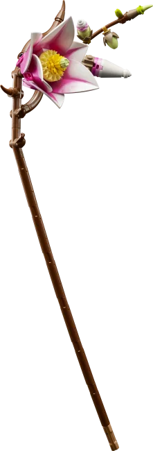 11510 Magnolijas zariņi