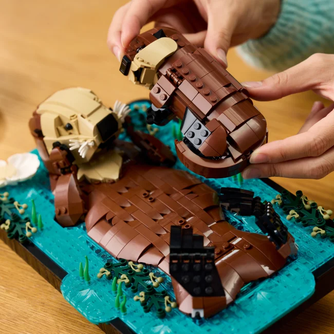 21366 Ujuvad merisaarmad