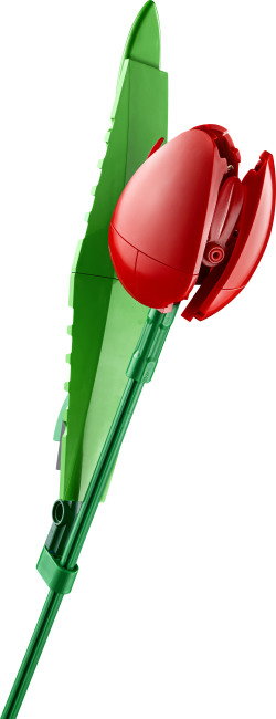 11501 Tulppaanikimppu