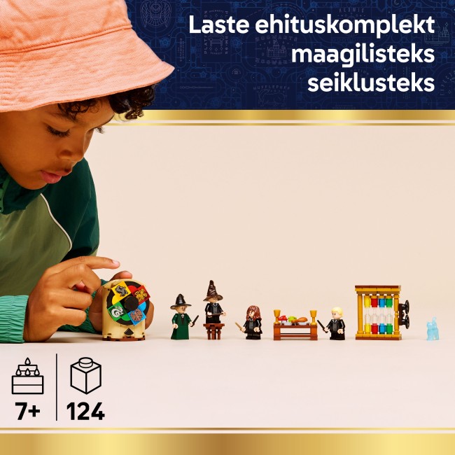 76460 Tylypahkan linna: Lajitteluhattuseremonia