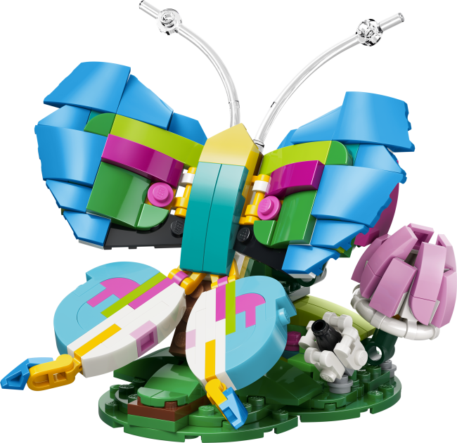 31384 Metsloomad: Värviline koolibri