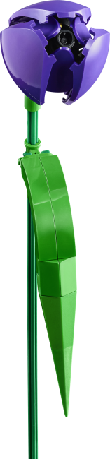 11501 Tulppaanikimppu