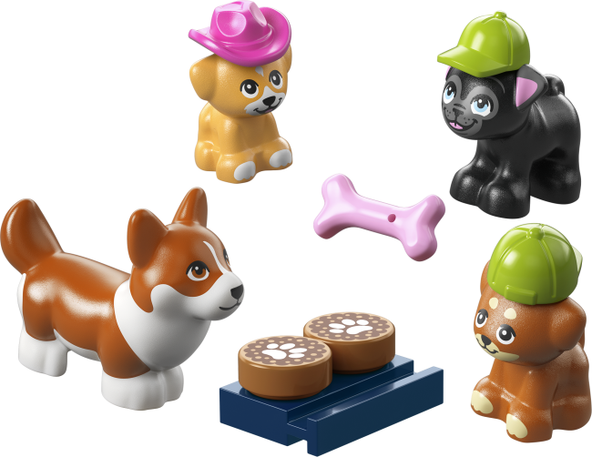 42677 Suņu gardumu ceptuve