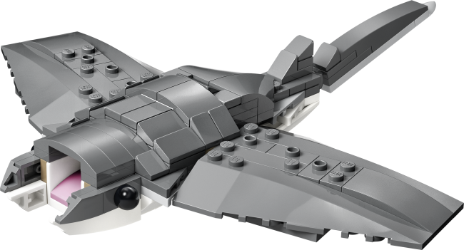 31381 Raevukas hai aardekirstuga