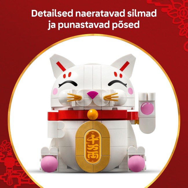 40813 Õnne toov kass