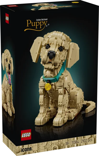 11384 Щенок золотистого ретривера