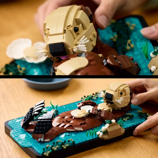 21366 Ujuvad merisaarmad