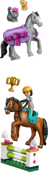 42688 Hevostalli ja ratsastuskoulu