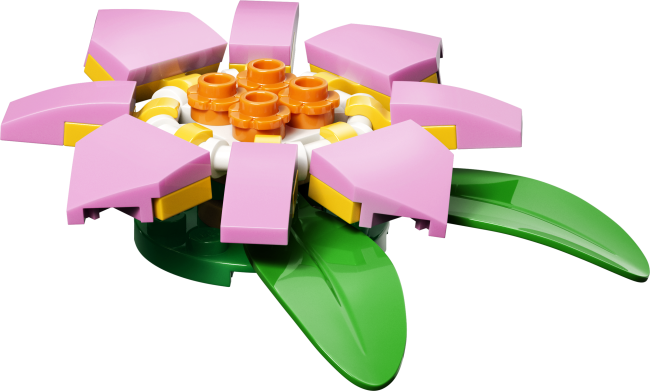 31377 Kilpkonn vesiroosiga