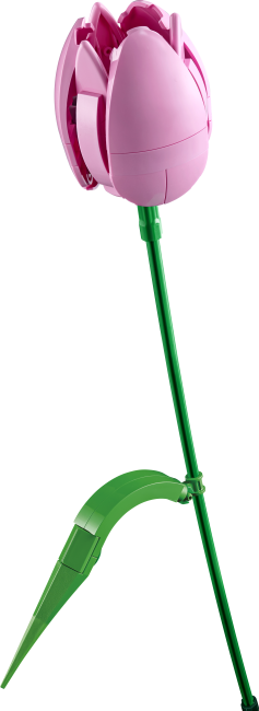 11501 Tulppaanikimppu