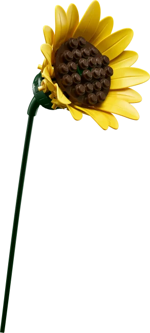 11502 Päevalillekimp