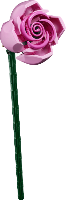 10374 Rozā rožu pušķis