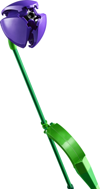 11501 Tulppaanikimppu