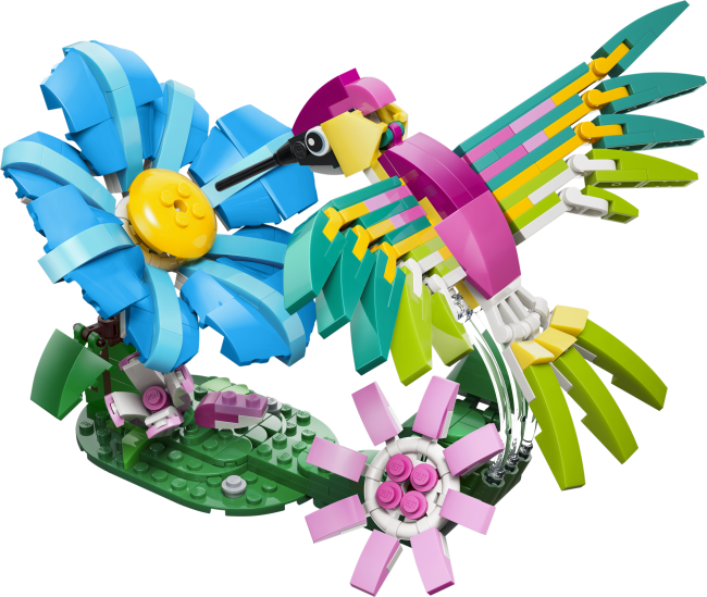 31384 Metsloomad: Värviline koolibri