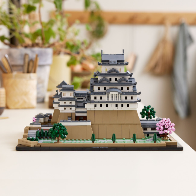 21060 Himeji Loss