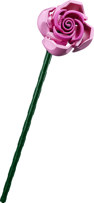 10374 Rozā rožu pušķis