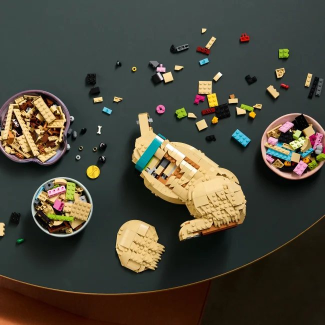 11384 Щенок золотистого ретривера