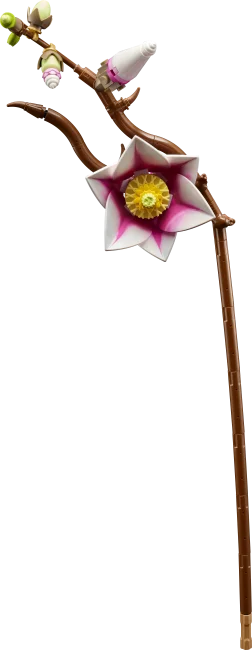 11510 Magnolijas zariņi